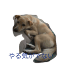 BANANA ＆ PECO（個別スタンプ：3）