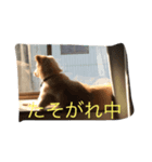 BANANA ＆ PECO（個別スタンプ：8）