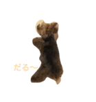 DOG   DOG（個別スタンプ：1）