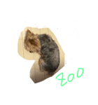 DOG   DOG（個別スタンプ：3）