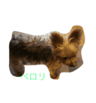 DOG   DOG（個別スタンプ：5）