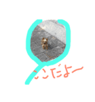 DOG   DOG（個別スタンプ：8）