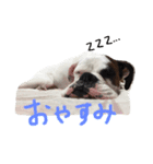 レーたんの日常 その1（個別スタンプ：10）
