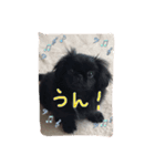 LovelyPeki（個別スタンプ：7）