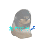つばめたん（個別スタンプ：2）