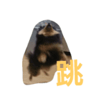 西瓜丸02（個別スタンプ：2）