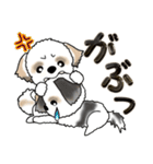 【大きめ文字】シーズー犬の日常（個別スタンプ：34）
