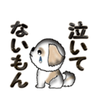 【大きめ文字】シーズー犬の日常（個別スタンプ：38）