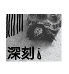 slowly Russian tortoise（個別スタンプ：5）
