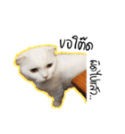 Meow Gangster（個別スタンプ：24）