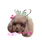 敬語だよっ♡テンちゃん♡（個別スタンプ：6）