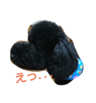 犬こてつ2（個別スタンプ：6）