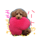 あずきちゃん（個別スタンプ：1）