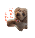 あずきちゃん（個別スタンプ：6）
