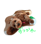あずきちゃん（個別スタンプ：7）