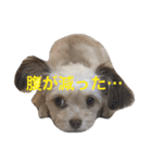 ちくわの気持ち。（個別スタンプ：7）