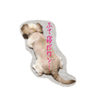 ちくわの気持ち。（個別スタンプ：10）