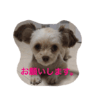 ちくわの気持ち。（個別スタンプ：14）
