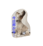 ちくわの気持ち。（個別スタンプ：16）