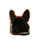 what's？？（個別スタンプ：1）