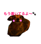 チョコダイアリー（個別スタンプ：10）