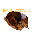 チョコダイアリー（個別スタンプ：12）