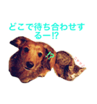 チョコダイアリー（個別スタンプ：13）