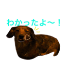 チョコダイアリー（個別スタンプ：15）