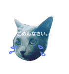 everydayにゃんこスタンプ（個別スタンプ：3）