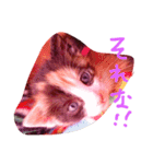 子猫ちゃん（個別スタンプ：3）