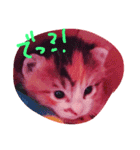子猫ちゃん（個別スタンプ：7）