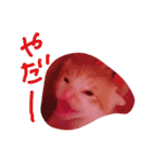 子猫ちゃん（個別スタンプ：14）