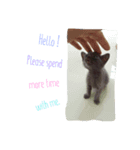 Ninja "Nilja" The Dark Cat（個別スタンプ：3）