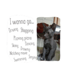 Ninja "Nilja" The Dark Cat（個別スタンプ：7）