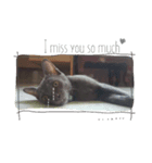 Ninja "Nilja" The Dark Cat（個別スタンプ：8）