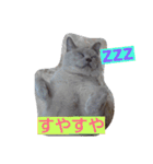 Benjamin Cat（個別スタンプ：5）