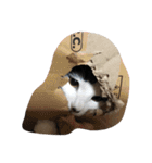 genkiakomogu（個別スタンプ：17）