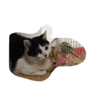 genkiakomogu（個別スタンプ：18）