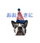 らんち姐さん（個別スタンプ：3）