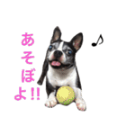 らんち姐さん（個別スタンプ：4）