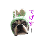 らんち姐さん（個別スタンプ：17）
