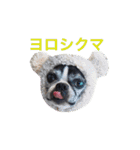 らんち姐さん（個別スタンプ：21）