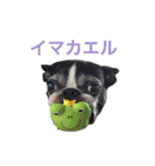 らんち姐さん（個別スタンプ：40）