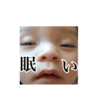 うちの子かわいい 日常編（個別スタンプ：3）