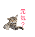 Mugi＆Halu（個別スタンプ：5）