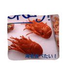 今日は何食べたい？（個別スタンプ：4）