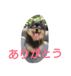 西瓜丸 01（個別スタンプ：4）