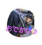 西瓜丸 01（個別スタンプ：6）
