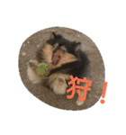 西瓜丸 01（個別スタンプ：11）