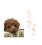 さくらぴんぬ（個別スタンプ：13）